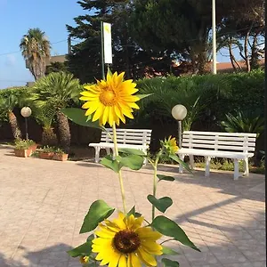 Fiori Gialli Caucana Couette-café